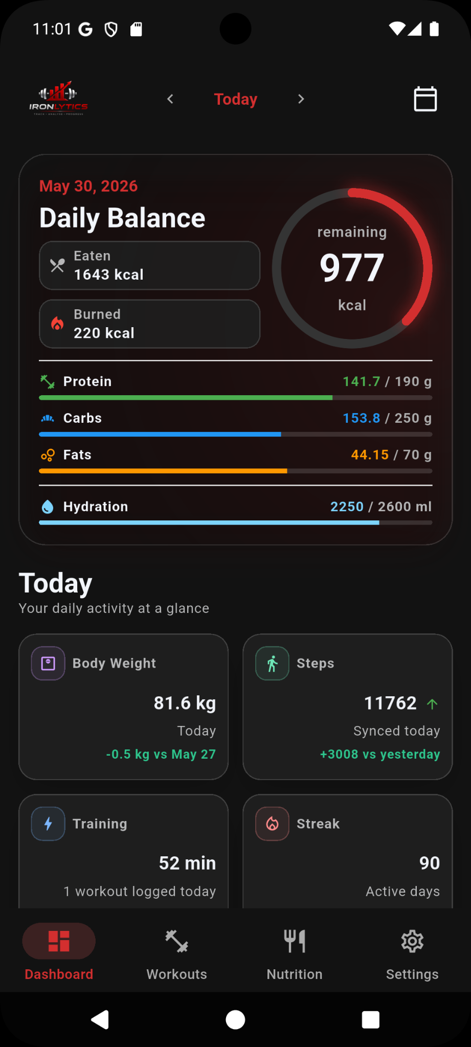 Ironlytics dashboard overview screen